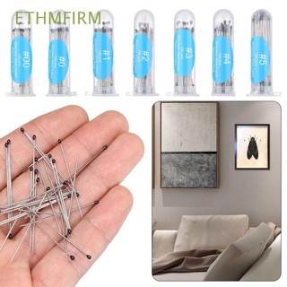 ETHMFIRM 100Pcs Sharp Tip Pin High Hardness Specimen Pins Needle Education Entomology Lab Accessories Good Flexibility Insect Dissections Supplies
