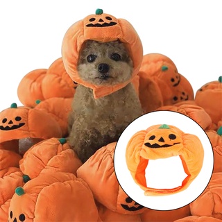 disfraz de halloween gato perro mascota cachorro accesorios vestido tocado calabaza sombrero