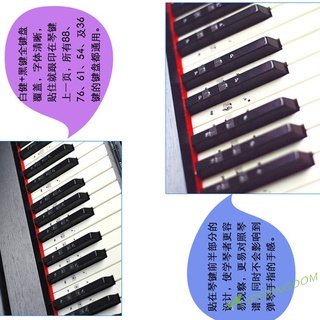 (Lifekingdom) 88 teclas 61 teclas 54 teclas teclado de piano etiqueta engomada Stave entrada nota pegatina