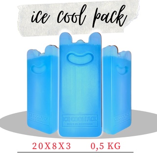 Ice PACK Jelly/PACK de hielo COOL BOX/caja de hielo