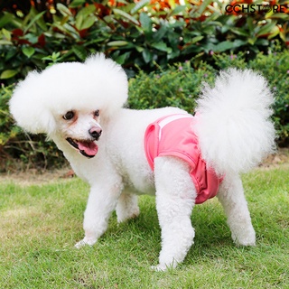 cchstore pet perro transpirable pantalones menstruales fisiológicos sanitarios lavables