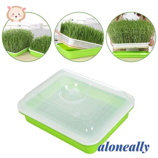ALONEALLY Home Garden Grow Nursery Pots Soilless Cultivation Sprout Pot Seed Sprouter Tray Hydroponic Tray Nursery Paper Gardening Supplies Outdoor Indoor Plant Box