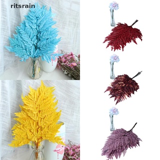 Ritsrain 10PCS Dried Natural Fresh Flowers Dry Fall Leaves Forever Fern Leaf Decoration CL