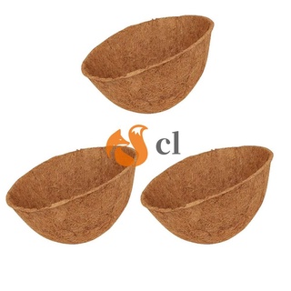 Dorio - maceta de coco para colgar, diseño de maceta (1)