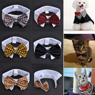 Nueva moda pequeño perro gato pajarita Collar mascota cachorro ropa pajarita suministros para mascotas