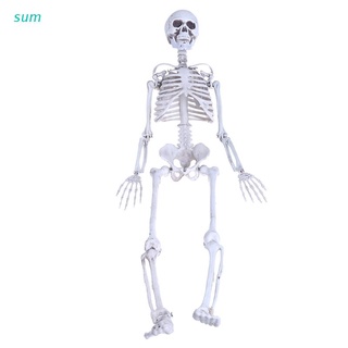 sum humano esqueleto medio cráneo cuerpo completo modelo anatómico para halloween medical
