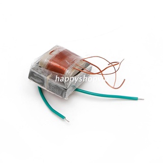 Hsv 10KV alta frecuencia transformador de alta tensión Booster bobina inversor