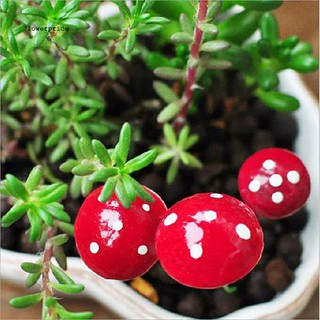 LP_20 piezas miniatura de setas/adorno para jardín/decoración DIY/Mini decoración (3)