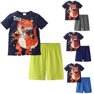Conjunto De ropa para niños/Camiseta De color sólido con estampado De dinosaurio para hombre