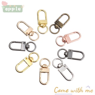 APPLE 5Pcs Hardware Bags Strap Buckles Bag Part Accessories Collar Carabiner Snap Lobster Clasp Jewelry Making Metal DIY KeyChain Split Ring Hook/Multicolor