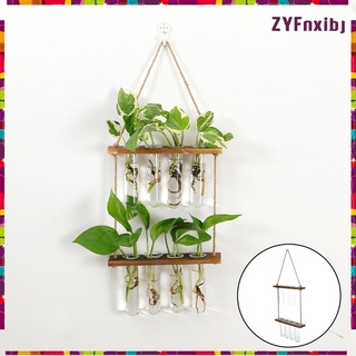 Wall Hanging Clear Glass Flower Planter Vase Terrarium Container Pot for Hydroponic Plants Home Garden Office Indoor Dcor