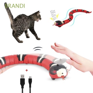 BRANDI Automático Interactivo Juguetes Recargables Gato Accesorios Detección Serpiente Gatito Juego De Navidad Para Mascotas Perros Gatos Halloween Inteligente Carga USB