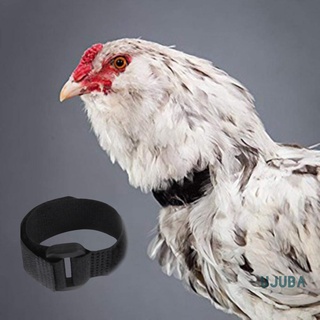 ujb 2pcs collar de pollo anti cuervo libre de ruido gallo cinturón ajustable hebilla aves de corral suministros para patos