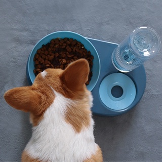 Alimentador De alimentos ajustable desmontable Para perros y Gatos (4)