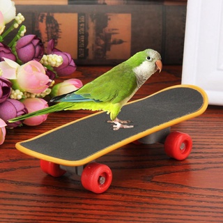 bylstore mini loros de alta calidad monopatín aves acrobacias entrenamiento jugando skateboarding juguete