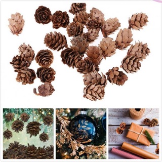 30 Pack Natural Pine Cones, Christmas Pine Cones, Decorative Fall Winter Holiday