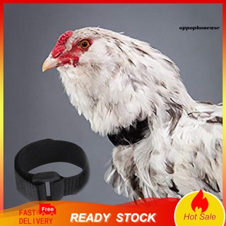 2 piezas de cuello de pollo Anti cuervo libre de ruido gallo cinturón ajustable hebilla aves de corral suministros para patos