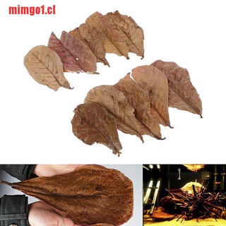 mimgo1: 10 hojas naturales de catappa, hojas de almendras, limpieza de pescado