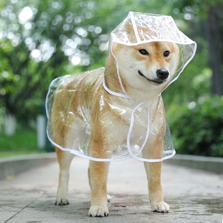 Nuevo chubasquero para perro impermeable transparente para mascotas/impermeable para perros/nuevo