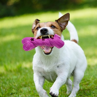 placeorder mascota perro cachorro suave goma forma de hueso fugas alimentos molar interactivo masticar juguete (5)