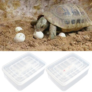 Ran reptil huevo bandeja serpiente lagarto huevo eclosión incubadora caja Gecko dedicado Hatcher dispositivo de tortuga incubadora Supplie (8)