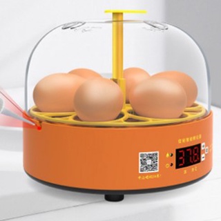 Mini incubadora Digital de 6 huevos de temperatura automática Brooder huevo Hatcher (8)