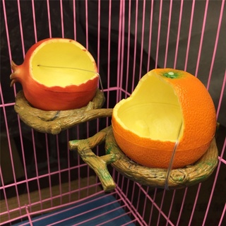 alimentador de pájaros de plástico en forma de fruta loro hámster recipiente de alimentos para mascotas