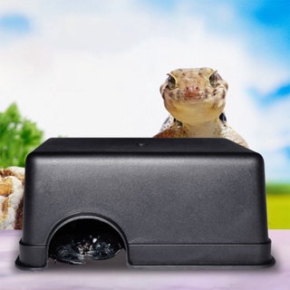 Jncm pequeños Reptiles mascotas juguetes Gecko serpiente refugio casa comida agua tazón cueva escalada caja