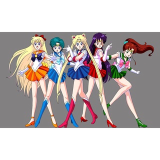 Sailor Moon Parches De Planchado Transferencia De Ropa Pegatina Niña Térmica Tsukino Usagi Parche De Vinilo Decoración Calcomanía Insignia Regalo (2)