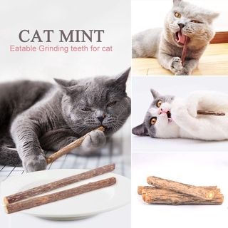 5 pc Pembersihan Gigi Kucing Kayu Molar Batang Semulajadi Kucing Snek Penjagaan Gigi Mainan Kucing Pet