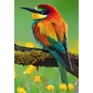 hl arco iris color pájaro animal serie redondo diamante resina e556