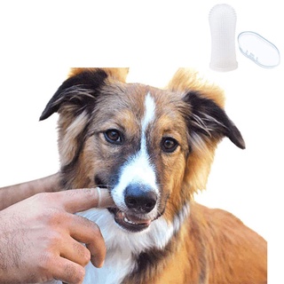(Anna Tienda Oficial) cepillo De dientes De silicona Para mascotas Gel Oral Higiene suave y eliminación De lengua Halitosis Para mascotas suministros De salud limpieza