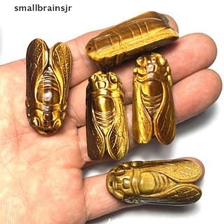 smbr 1 pieza colgante de piedra de tigre natural tallado en cristal de cicada mbl