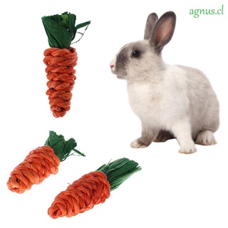 agnus paja masticar juguetes en forma de zanahoria suministros para mascotas juguetes de mordedura 3 unids/set de juego de conejillo de indias rata conejo hámster limpieza de dientes
