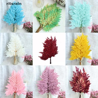 Ritsrain 10PCS Dried Natural Fresh Flowers Dry Fall Leaves Forever Fern Leaf Decoration CL (8)