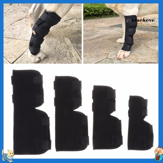 Bl-1 par de piernas traseras a prueba de golpes para perros/mascotas/Protector de rodillera/Protector de rodillera (1)