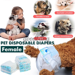 10 Pzs Pañales Desechables Para Perros/Mascotas/Pantalones Sanitarios Cachorro/Mujer (1)
