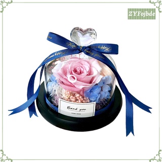 conservada rosa fresca san valentín\\'s regalo de cumpleaños flor decoración del hogar flores