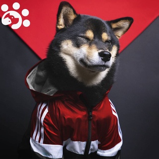 Luxury Dog Clothes for Large Dogs 2021 Designer Sport Raincoat Hoodie Windbreaker Jacket French Bulldog Golden Retriever Dog Clothes