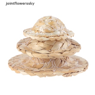 jfcl - sombrero de paja tejida hecha a mano, ajustable para loro, aves, accesorios, cielo de moda (5)
