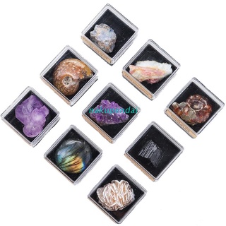 nak 9 piezas de cristal natural de energía cruda piedras ásperas de cuarzo amatista colección cluster