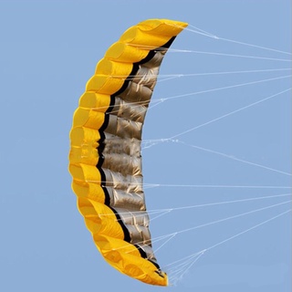 Stunt Power Kite Inflatable Beach Kitesurfing Winder Parafoil Parachute
