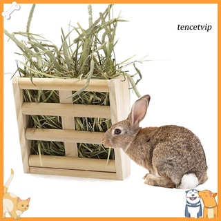 sg--rabbit forr fordder heno alimentador de pesebre soporte de alimentos tazón de guinea conejillo de indias mascota hierba titular