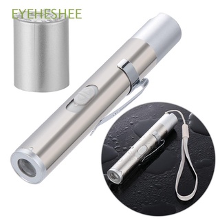 EYEHESHEE Portable Laser Pointer Rechargeable Funny Cat Stick Flashlight Ultraviolet Rays Mini Counterfeit Detector Multifunction Pet Toy