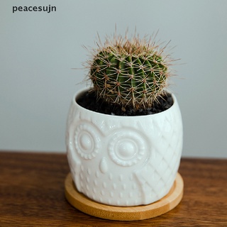 [jn] maceta suculenta mini maceta de cerámica suculenta cactus maceta con drenaje.