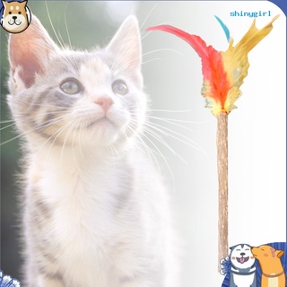 Sg—5 pzs Matatabi plumas mascotas gatos Teaser Molar Stick varita interactiva juego masticar juguete