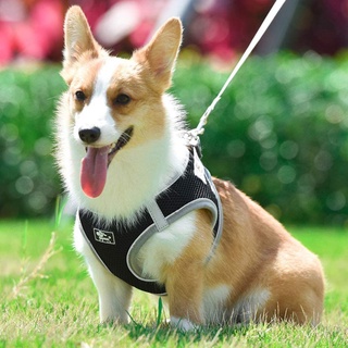 Dog Pet Adjustable Harness and Leash Set Puppy Vest pet harness straps For Small Dog