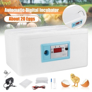 Lloyd Digital Hatcher Control de temperatura incubadora de Brooder 20 posición aves de corral pollo granja herramientas de incubación huevos automático de espuma