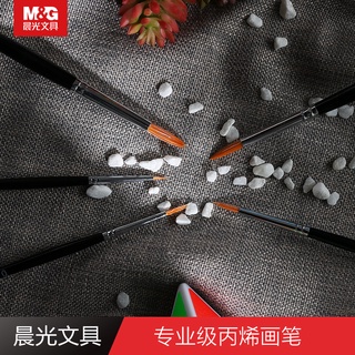 chenguang papelería profesional de acrílico cepillos para estudiantes pintura 5pcs abh978a1 (1)