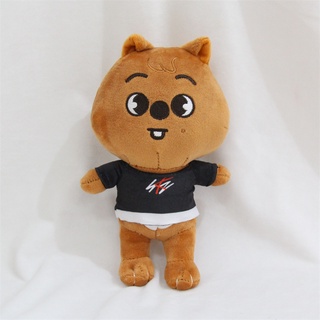 Skzoo Plush Toys 22cm Stray Kids Plush Wolf Chan Cartoon Stuffed Animal Plushies Doll Kawaii Companion for Kids Adults Fans Gift (9)